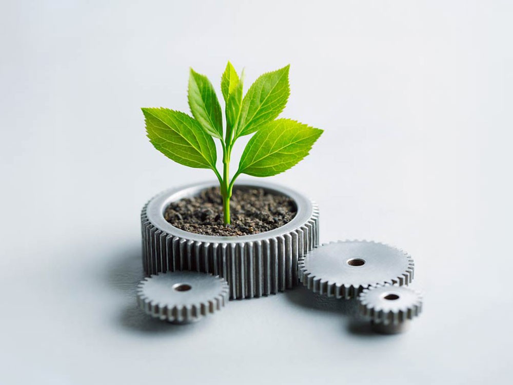 fidelus Pflanze wächst aus Zahnrad