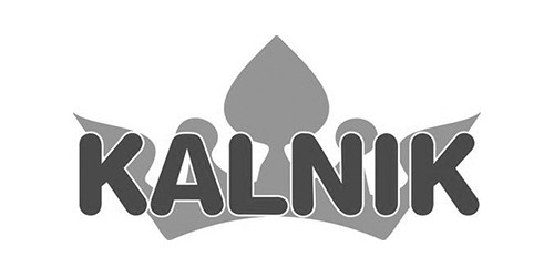 Expertise 13 Kalnik Logo